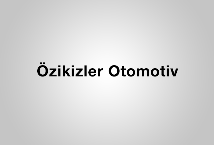 Özikizler Otomotiv İnş. Nak. Taah. Tic. Ltd. Şti.